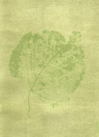 Leaf Skeleton Antho