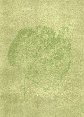 Leaf Skeleton Antho