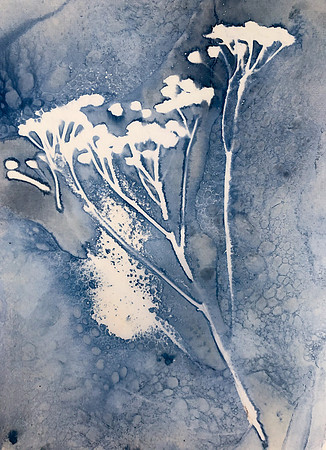 Wet Cyano