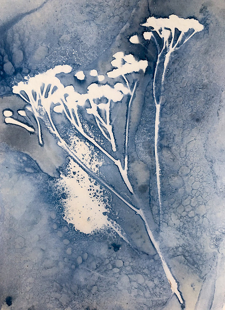 Wet Cyano