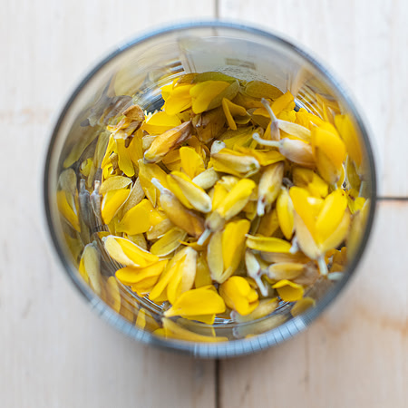 Gorse Petals