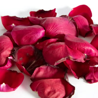 Rose Petals