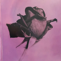 Acetate on rose emulsion
