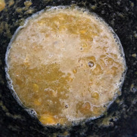 Gorse Emulsion