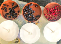 Berries