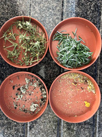 Plant Material