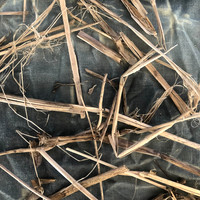 Flood Detritus