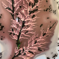 Cypress Lumen Result