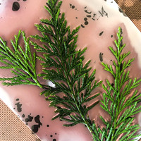 Cypress Lumen