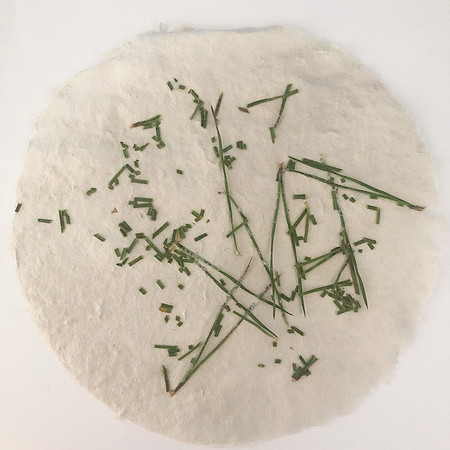 Pine Needle Paper