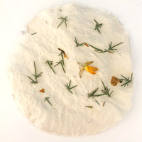 Gorse Paper