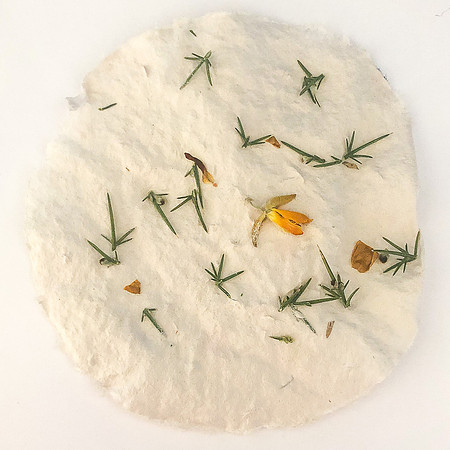 Gorse Paper