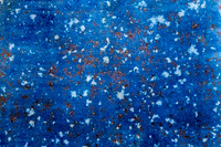 Snow Cyano_DSC_5098-Edit