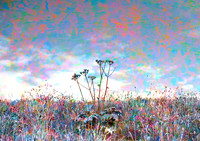 Mystic Garden