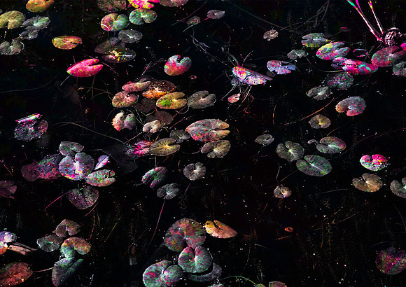 Jewelled Light