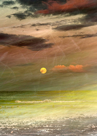 Summer Sea