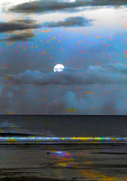 Winter Moon