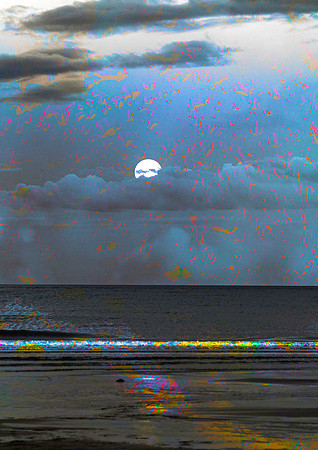 Winter Moon