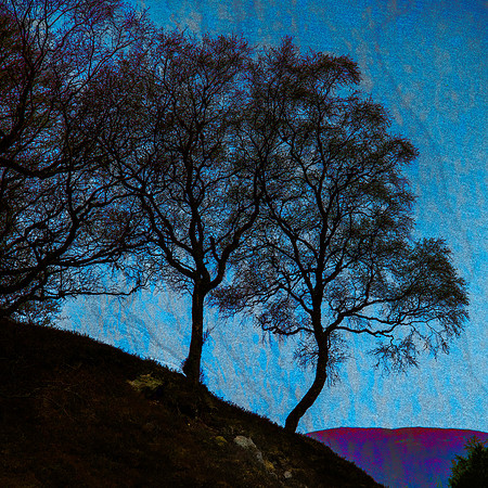 Frozen Hills
