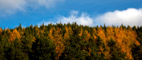 Orange Green Blue