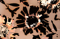 DaisyLumenSpruce_DSC_5516-Edit